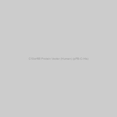 C10orf65 Protein Vector (Human) (pPB-C-His)